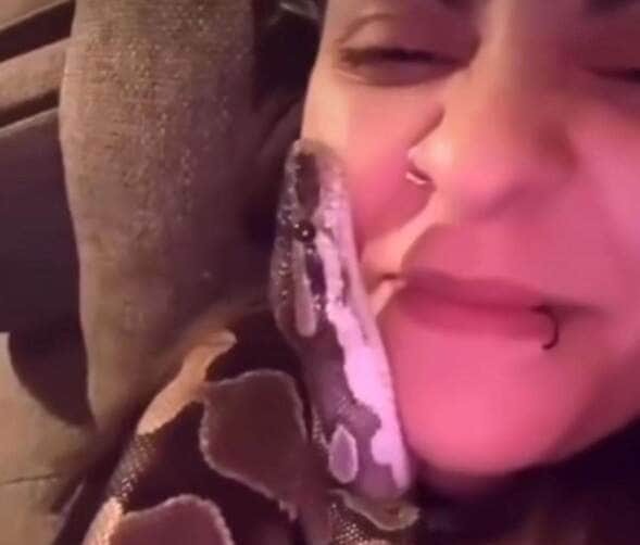 Serpente carinhosa? especialista explica o comportamento do réptil em vídeo viral