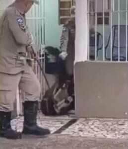 Animal foi encontrado em uma residência em Várzea Grande e devolvido à natureza após ação dos bombeiros