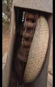 Vídeo viral mostra o resgate cuidadoso de uma serpente entrelaçada em equipamento industrial