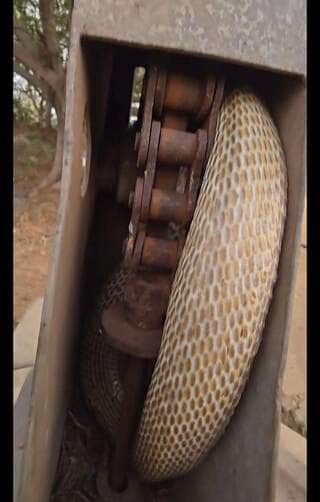 Vídeo viral mostra o resgate cuidadoso de uma serpente entrelaçada em equipamento industrial