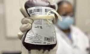 13/06/2023 - Brasília - Dia Mundial do Doador de Sangue. Foto: Hemorio/Divulgação