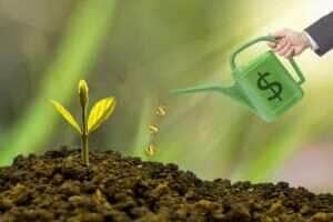Investir em renda variável: entenda os riscos e oportunidades