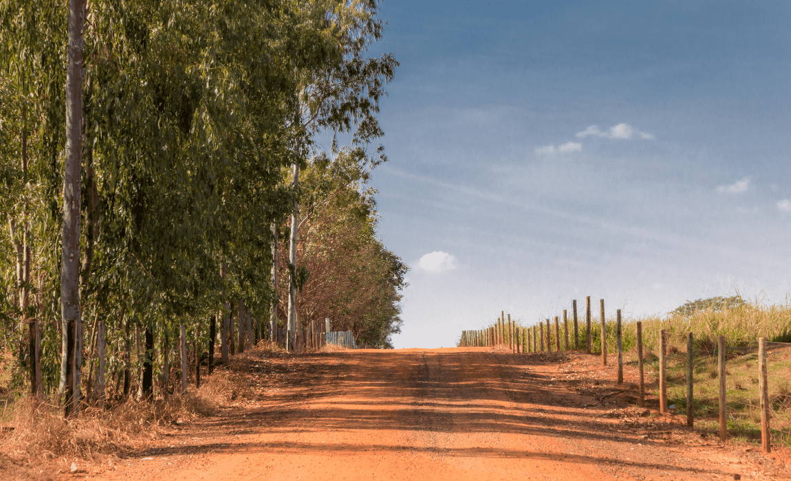 Mapa lança Programa Nacional de Estradas Rurais para aprimorar escoamento da produção agropecuária