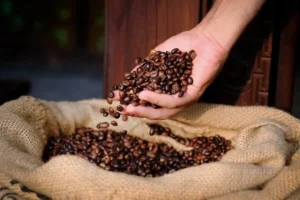 Exportação de café brasileiro: China abre portas para 183 novas empresas enquanto EUA impõem tarifa de 50%