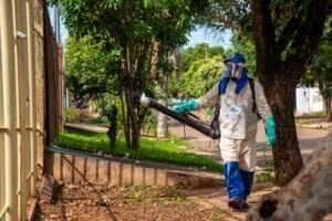 De janeiro para março, queda no número de casos de dengue e Chikungunya foi de 93% em Rondonópolis