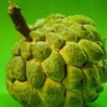 Os Benefícios do Araticum: Um superalimento da natureza