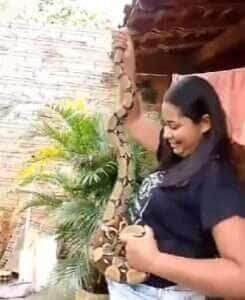 Mulher viraliza ao resgatar jiboia no Maranhão