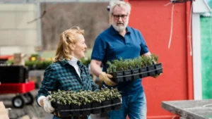 O QUE PLANTAR ESTE MÊS DE MARÇO?