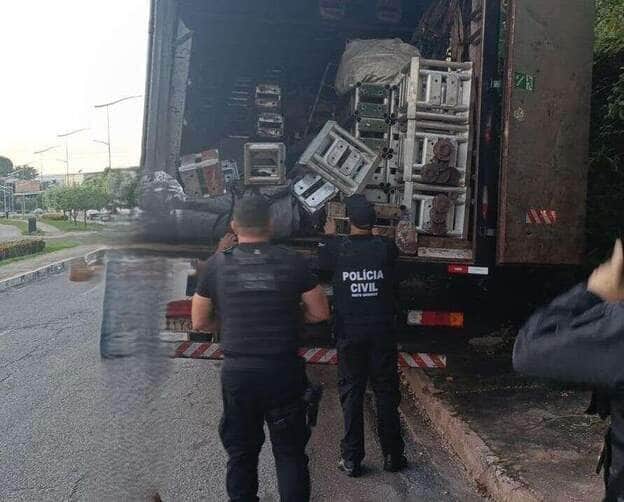 Operação desfaz esquema que fraudava licitações de shows em Mato Grosso