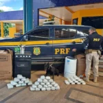 PRF apreende pasta base e maconha escondidas em eletrodomésticos em ônibus na BR-364