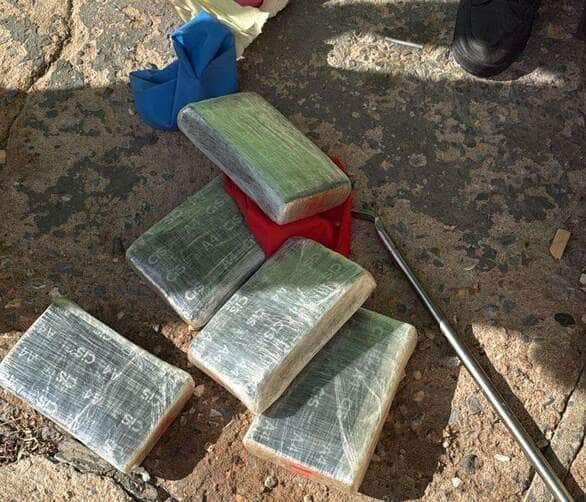 Polícia Civil apreende encomenda de maconha entregue por transportadora em Cuiabá