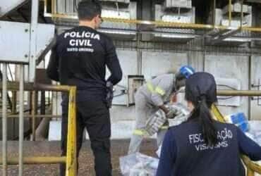 Polícia Civil de Mato Grosso incinera quase meia tonelada de drogas avaliada em mais de R$ 4 milhões