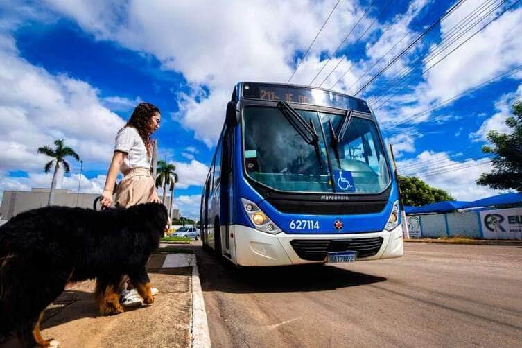 Rondonópolis sanciona lei que permite cães de assistência no transporte público para pessoas com Transtorno do Espectro Autista