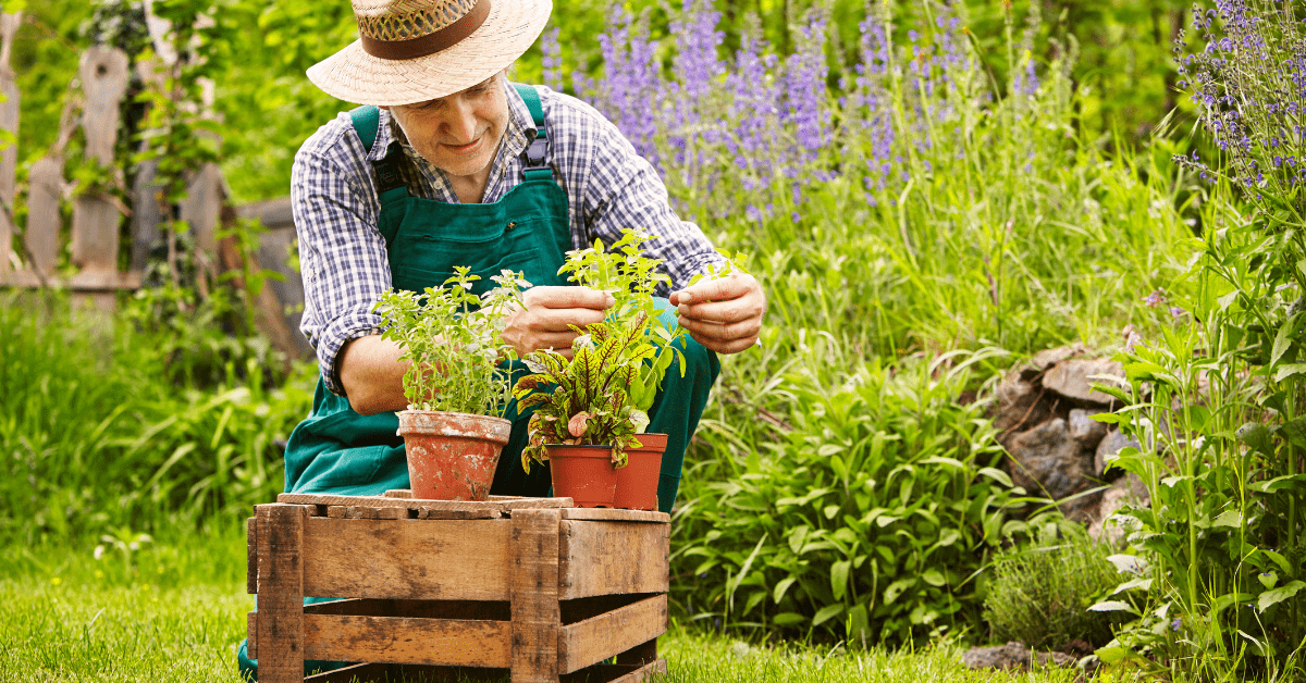 A solução pode ser o programa Desenrola Rural
