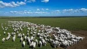 O congresso ocorrerá entre os dias 27 e 30 de outubro, e Mato Grosso foi escolhido pelo destaque não só na produção interna