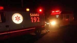 Colisão ocorreu na MT-170 e deixou três animais mortos; vítima conduzia um Corolla e morreu no local 