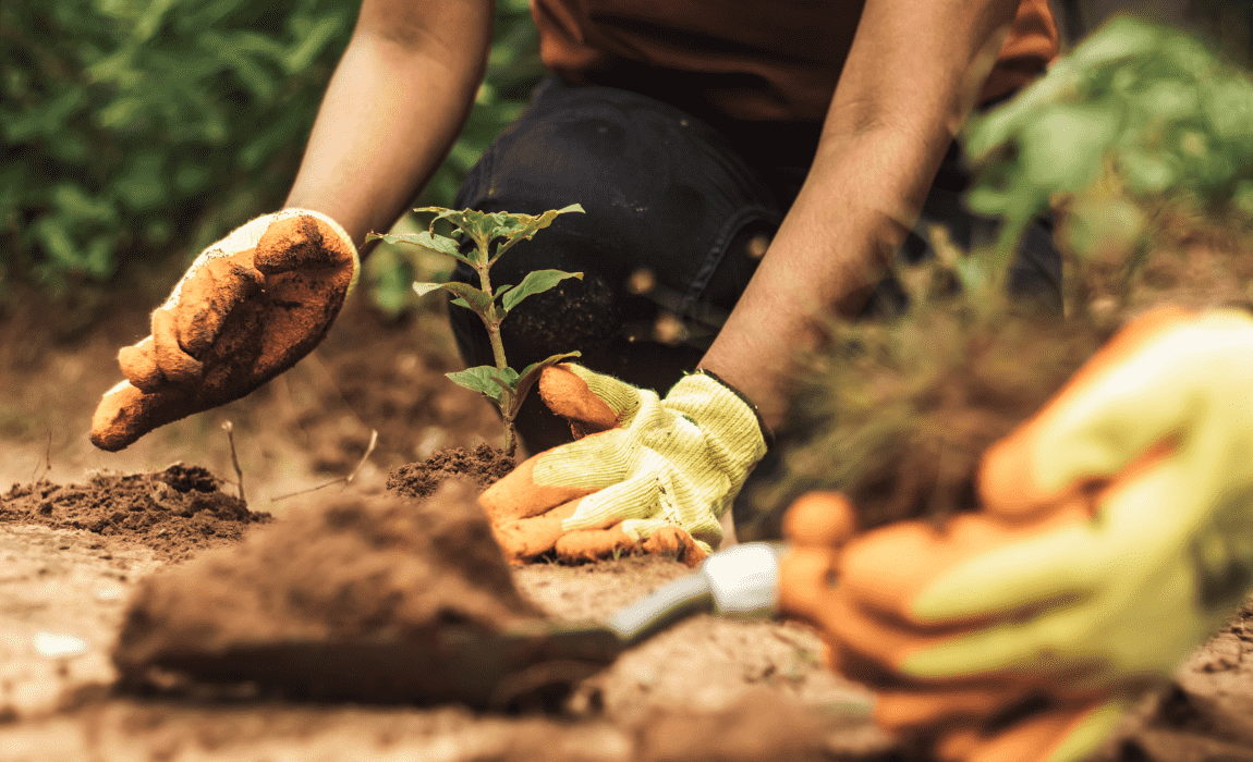 Programa AgroAmigo amplia crédito para pequenos produtores