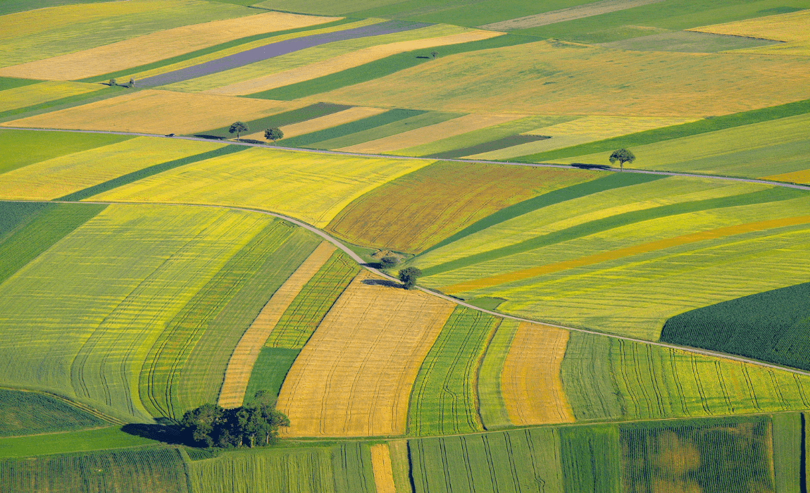 Emissões de Cédulas de Produto Rural na safra atual cresceram 68% até fevereiro
