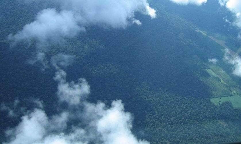 Rio de Janeiro (RJ) 10/01/2025 - Imagem aérea de Santarém coleta de carbono.  -Tecnologias monitoram biodiversidade, árvores e ar da Amazônia.
Foto: Luciana Gatti/Divulgação