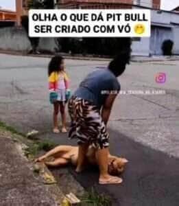 Cena hilária de um pitbull ‘folgado’ viraliza e mostra o lado brincalhão e teimoso da raça