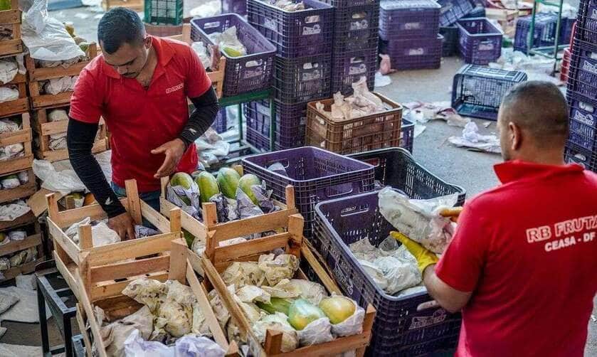 Brasília-DF, 10.11.2023, A Centrais de Abastecimento do Distrito Federal, a CEASA-DF, tem movimento intenso de pessoas que buscam as melhores frutas, legumes e verduras.  Foto: Rafa Neddermeyer/Agência Brasil