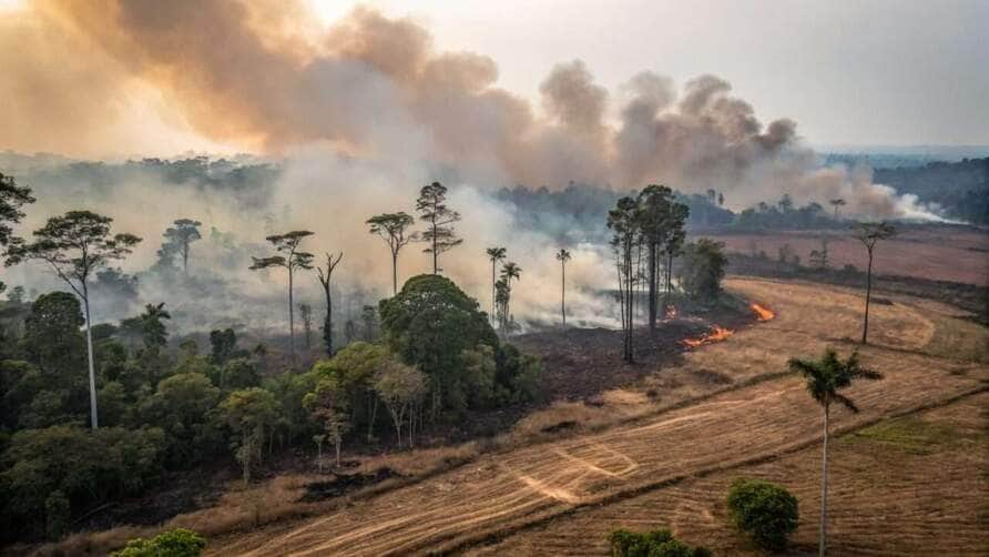 queimadas em mato grosso