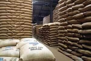 Receita bruta dos Cafés do Brasil* estimada para o ano 2025 atinge R$ 123,28 bilhões - Agência Brasil/arquivo