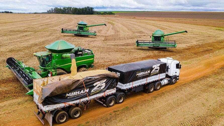 Estado segue como protagonista na produção de grãos, com destaque para a soja e o arroz, impulsionando a safra nacional para um novo recorde