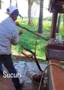 Sucuri gigante fica entalada em cano e dá trabalho para moradores