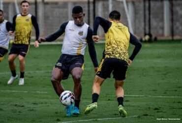 Novorizontino x Criciúma: onde assistir, escalações e tudo sobre o confronto da Série B. Imagem: Higor Basso/Novorizontino