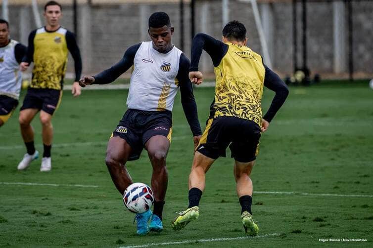 Novorizontino x Criciúma: onde assistir, escalações e tudo sobre o confronto da Série B. Imagem: Higor Basso/Novorizontino