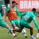 Bolívar x Palmeiras nesta quinta (24) na Libertadores: horário, onde assistir ao vivo e escalações prováveis. Imagem: Cesar Greco/Ag. Palmeiras