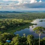Baía no Pantanal de Mato Grosso