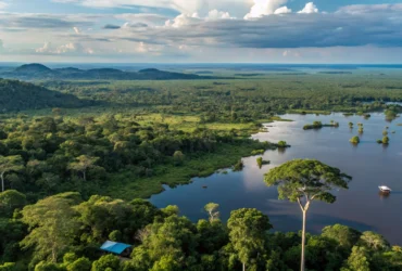 Baía no Pantanal de Mato Grosso