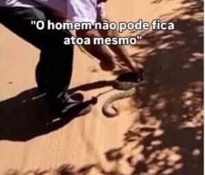 Biólogo alerta: "Não tente ser mais rápido que uma cobra"