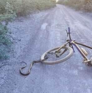 Caninana toma conta de bicicleta e deixa ciclista sem ação em estrada rural