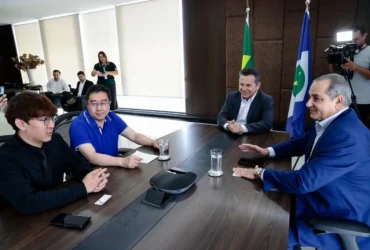 Multinacional chinesa planeja instalação de fábrica em Mato Grosso