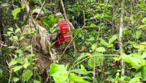 Corpo de piloto é encontrado dentro de aeronave que caiu em Mato Grosso
