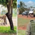 Policial civil é baleado acidentalmente durante operação ambiental em Diamantino