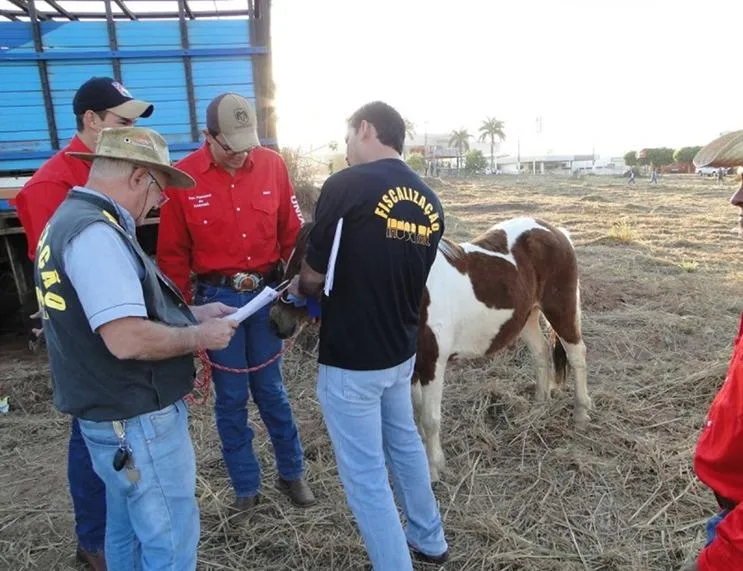 Veterinários devem fazer curso obrigatório em Mato Grosso para atuar em leilões, cavalgadas e outros eventos agropecuários