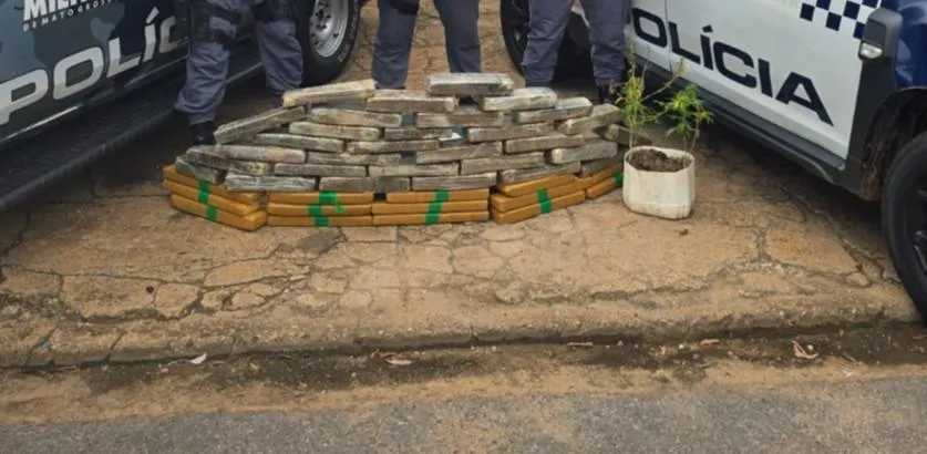 PM de Mato Grosso localiza 49 kg de maconha em residência usada por facção