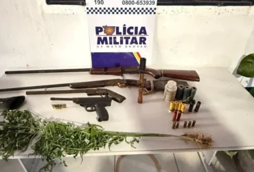 Prisão na zona rural de Mato Grosso expõe cultivo de droga e arsenal irregular