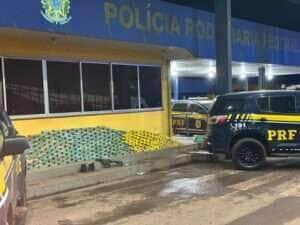PRF apreende mais de 370 kg de drogas e fuzil escondidos em caminhão com gado em Cáceres