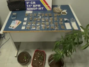 Homem é preso com pés e porções de maconha após fugir da polícia em Sinop