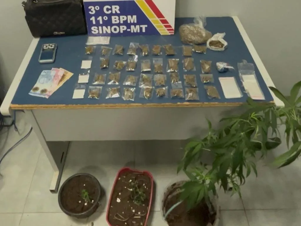 Homem é preso com pés e porções de maconha após fugir da polícia em Sinop