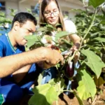 Hortas Escolares vão transformar 300 escolas em Mato Grosso em espaços de aprendizado e sustentabilidade