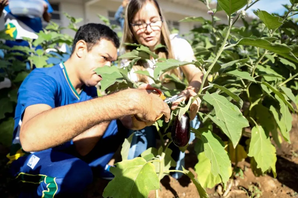 Hortas Escolares vão transformar 300 escolas em Mato Grosso em espaços de aprendizado e sustentabilidade