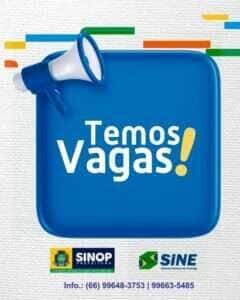 SINE Sinop disponibiliza mais de 240 vagas de emprego nesta quarta-feira (30/04)