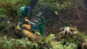 Serviços Públicos remove mais de 650 t de resíduos nos bairros que sofreram alagamentos em Várzea Grande