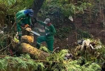 Servicos Publicos remove mais de 650 t de residuos nos bairros que sofreram alagamentos em Varzea Grande -CenárioMT